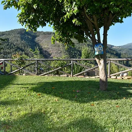Vila Feel Discovery Casa Da Cavada Arouca